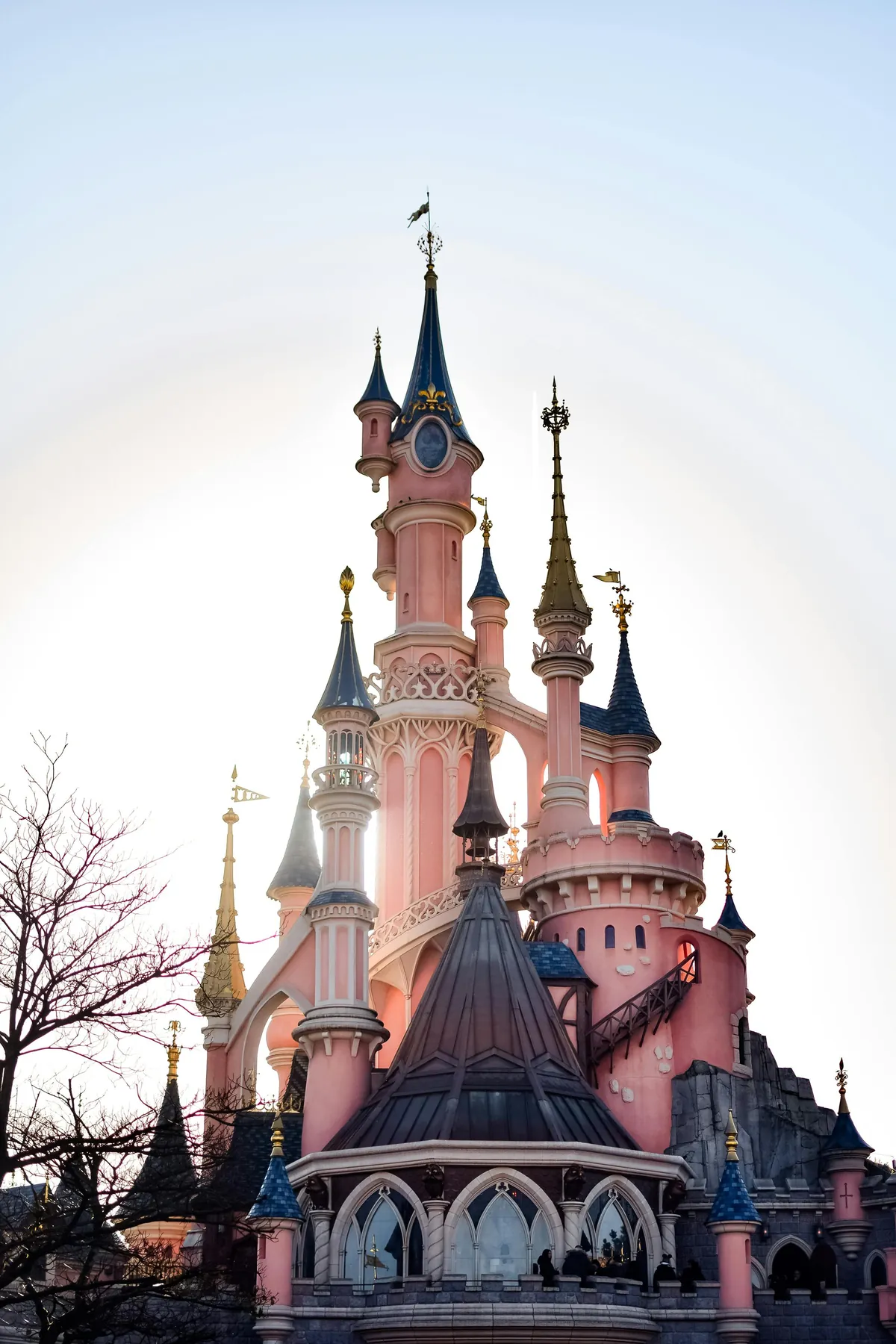 Sleeping Beauty Castle